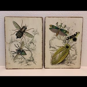 Set of 2 wood Botanical wall signs